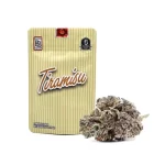 Tiramisu Strain, Buy Tiramisu Strain Online, Tiramisu Strain by Back pack Boyz, Buy Tiramisu Strain by Backpack Boyz, Buy Tiramisu Strain in Idaho