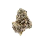 Tiramisu Strain, Buy Tiramisu Strain Online, Tiramisu Strain by Back pack Boyz, Buy Tiramisu Strain by Backpack Boyz,, Buy Tiramisu Strain in Idaho, where to Buy Tiramisu Strain in Idaho