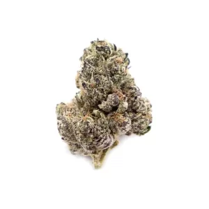 Tiramisu Strain, Buy Tiramisu Strain Online, Tiramisu Strain by Back pack Boyz, Buy Tiramisu Strain by Backpack Boyz