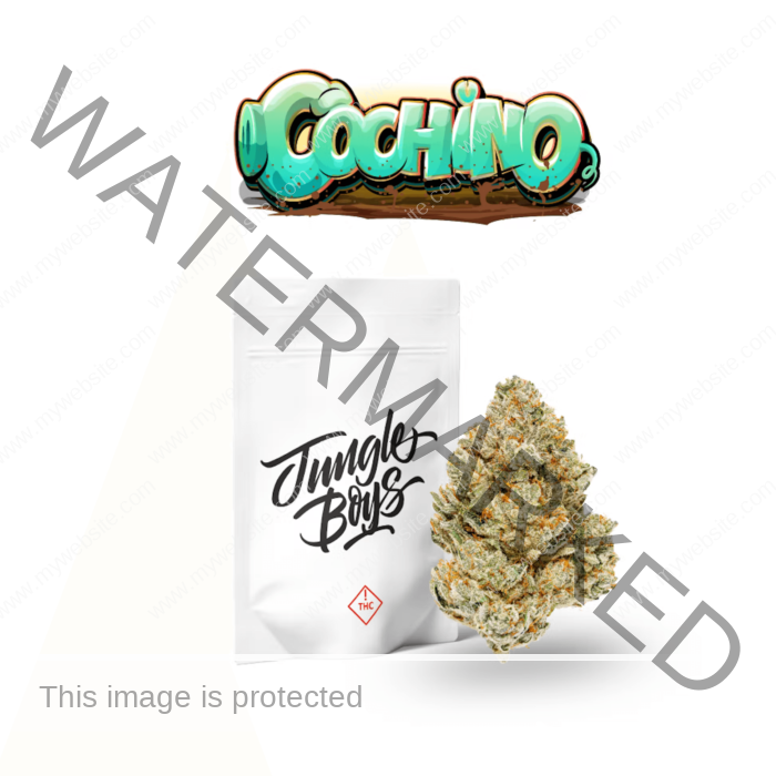 Cochino Strain, Buy Cochino Strain, Buy Cochino Strain Online