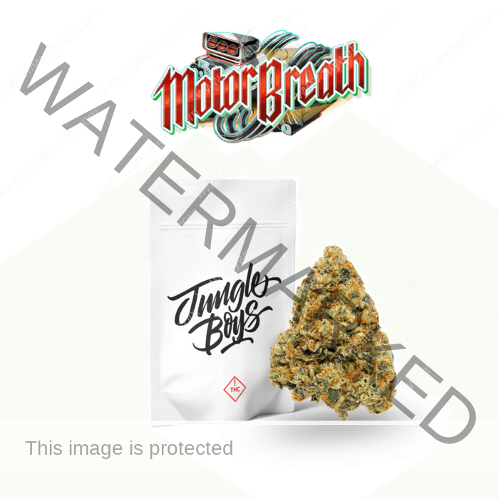 Buy Motor Breath Strain By Jungle Boys', Motor Breath Strain