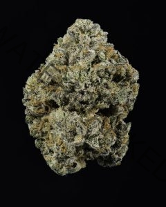 BUY BLUE SUEDE STRAIN