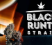 what strain is black runtz, black runtz strain